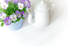 Purple, Blue And Lilac Pansy Flowers In A Beautiful Pot With A Vintage Enamel Jug On White Background, Copy Or Text Space