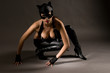 © terryleewhite - Young woman wearing a leather cat suit and mask