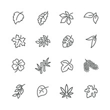 Leaves And Plants Related Icons: Thin Vector Icon Set, Black And White Kit
