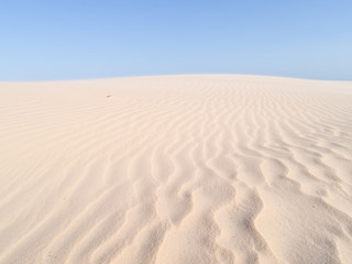 Beautiful dune of Parnaíba, Brazil. 