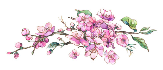 Watercolor spring vintage pink blooming branches of cherry peach, pear, sakura,