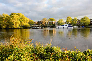 Poster - River Thames in Richmond, London, England, UK