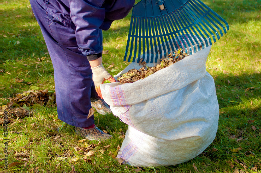 Street sweeper cleaning a lawn from dead leaves using a fan rake ...