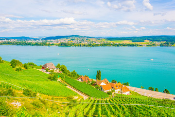 Wall Mural - Vineyards surrounding Bielersee in Switzerland