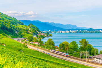 Wall Mural - Vineyards surrounding Bielersee in Switzerland