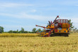 © sirastock - Combine harvester Working on rice field. Harvesting is the process of gathering a ripe crop