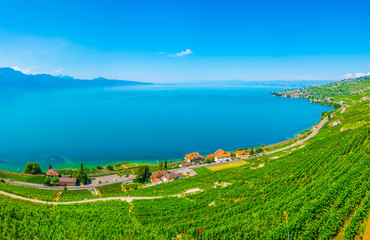 Lavaux wine region near Lausanne, Switzerland