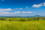 Fototapeta Sawanna - landscape of Savanna Forest and mountain with a blue sky and white clouds in the spring afternoon