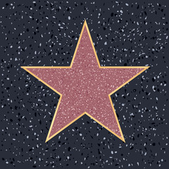 hollywood star