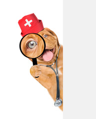 Sticker - Puppy dressed like a doctor with a stethoscope on his neck  looks through a magnifying lens. Isolated on white background