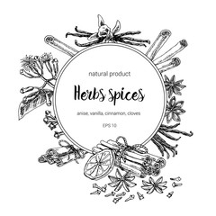 spices round frame design. hand painted illustration. Vintage sketchy style plants. Vector illustration