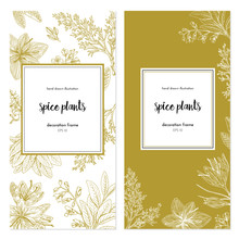 Vector Template With Vintage Graphic Illustrations. Spice Plants Design With Handdrawn Illustration. Set Of Frames.graphic Background 