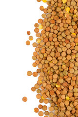 Poster - lentils isolated on white