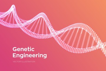 DNA sequence. Wireframe DNA molecules structure mesh. DNA code editable template. Science and Technology concept. Vector illustration.