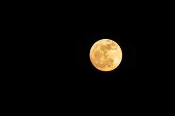 the moon in the night.