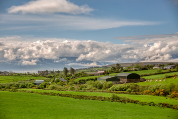 Wall Mural - Irland