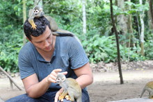 Man Training A Group Of Titi Monkeys