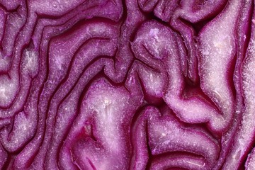 Poster - Texture or background of red cabbage close-up