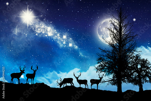 estrella fugaz en la noche de navidad: comprar esta ilustración de stock y  explorar ilustraciones similares en Adobe Stock | Adobe Stock