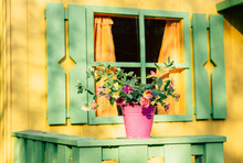 Focus On Pink Flowers In Pink Flower Pot Decorative Bucket, Yellow Playhouse With The Green Window With Wooden Shades On The Background.
