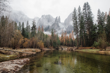 Poster - river in the forest with mountains in the distance