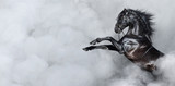 Fototapeta Konie - Black Spanish horse rearing in smoke.