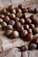 Hazelnuts in shells on the natural gray paper background.