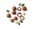Composition with organic Macadamia nuts on white background, top view
