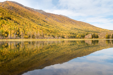 Wall Mural - autumn mountain forest and reflection