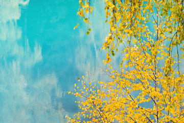 Wall Mural - beautiful lake water in autumn