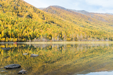 Wall Mural - autumn landscape in kanas
