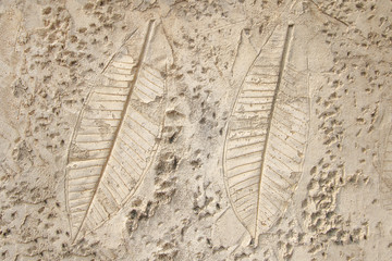 Wall Mural - twin leaf print on natural style cement texture