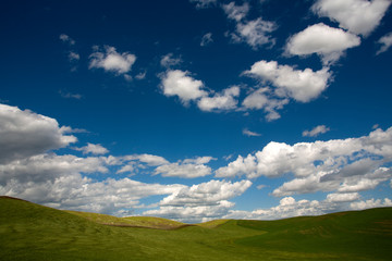 Wall Mural - blue sky and clouds