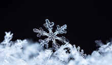 Natural Snowflakes On Snow, Winter