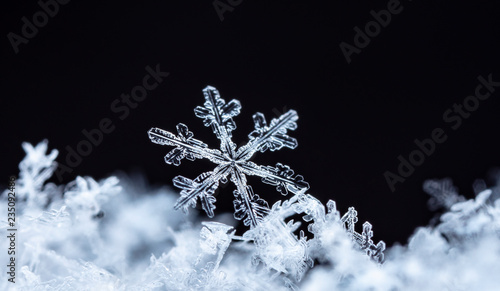 Cuadros en Lienzo natural snowflakes on snow, winter