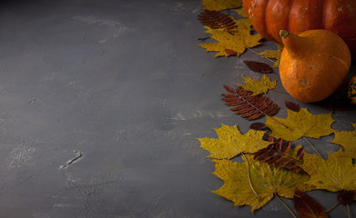 Autumn background with pumpkin and leaves