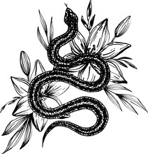 Hand Drawn Ink Snake And Lilies Flowers, Vector Illustration. Snake Silhouette Illustration. Vector Tattoo Design. Graphic Sketch For Posters, Tattoo, Clothes, T-shirt Design, Pins, Patches, Stickers.