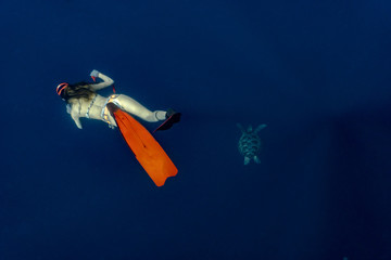 Sexy free diver chasing green sea turtle in the deep blue water