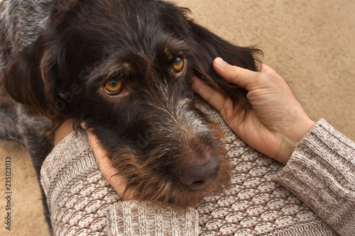 Fotografía brown dog laid his head on the lap of the woman