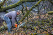 © czamfir - Forestry worker - lumberjack works with chainsaw. He cuts a big tree in forest.