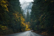 Oregon Roads & Autumn