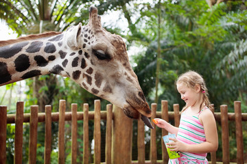 Wall Mural - Kids feed giraffe at zoo. Children at safari park.