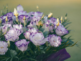 Fresh flowers of Lisianthus close-up for your wedding decoration. Beautiful bouquet of Eustoma, white petals with violet borders at blur green background.