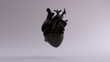Black Anatomical Heart 3d illustration 3d render
