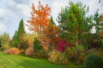 Beautiful alpine hill with trees, shrubs and ornamental grasses in the autumn park. It's a nasty day.