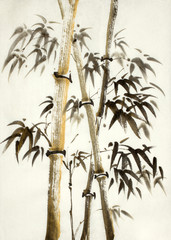 Fototapeta golden bamboo trees