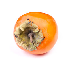 Sticker - Persimmon fruit isolated