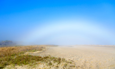 Rare Fogbow or White Rainbow Caused by Dense Fog and Sunlight Over the River the Beach and the Marsh Grass