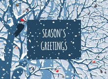 Winter Wonderland. First Snow. Season’s Greeting Card. Hand Drawn Vector Illustration Of Snowfall,  Trees, Woodpecker, Apples.
