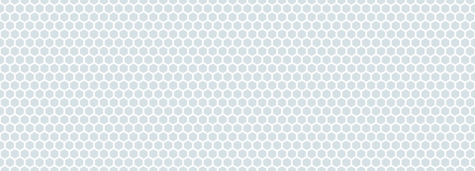Hexagonal white net